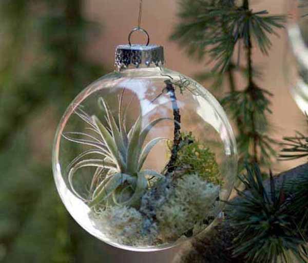 glass christmas tree decorations with miniature green plants