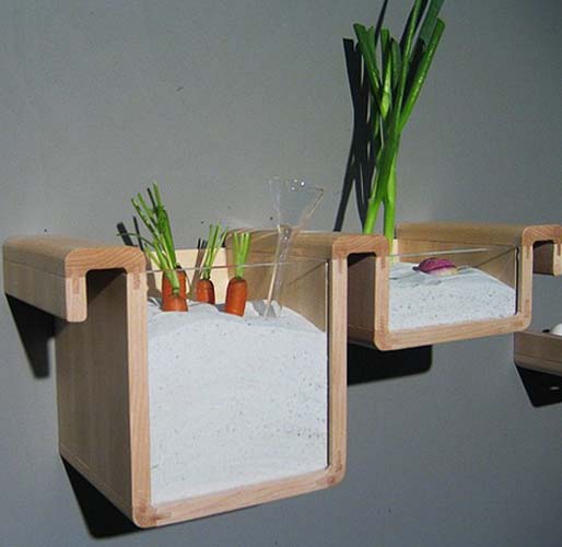 kitchen shelves for healthy food storage