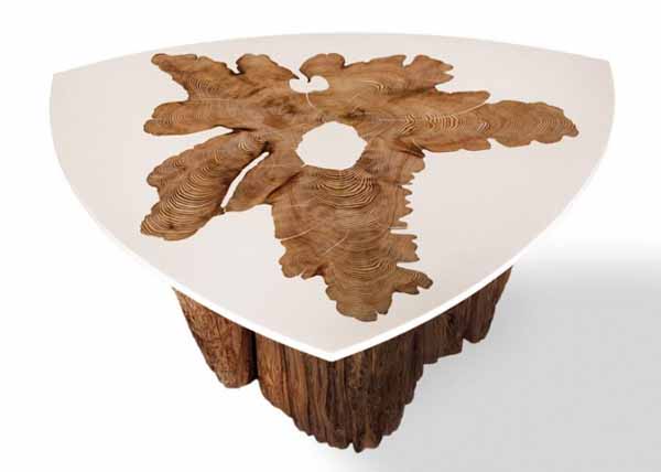 modern coffee tables with tree growth rings