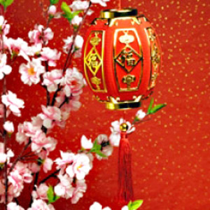 paper lantern for lunar new year celebration