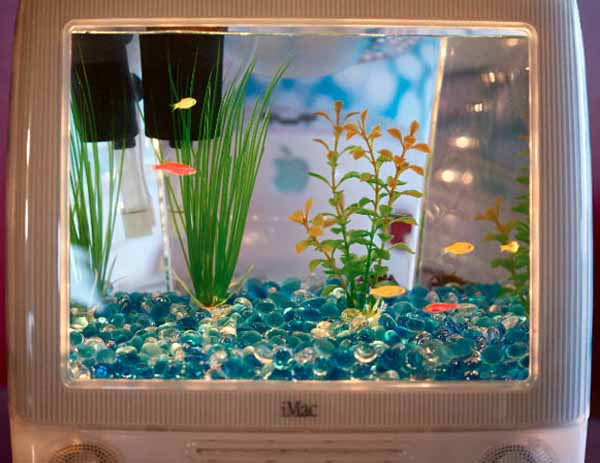 small fish tank decorations