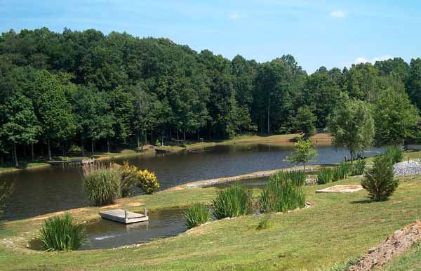 Backyard Swimming Pools and Small Ponds, Beautiful 