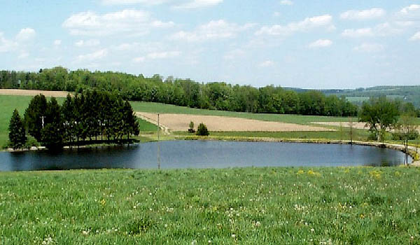 Backyard Swimming Pools and Small Ponds, Beautiful 