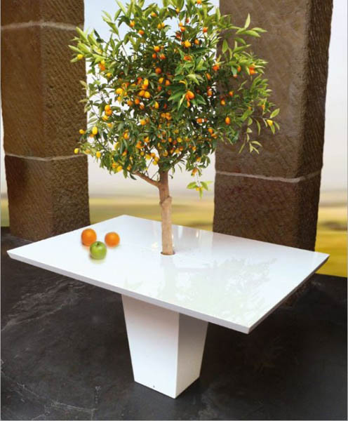 white dining table with tree