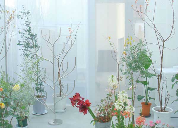 indoor garden in home interiors