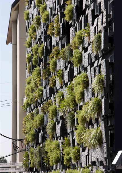 modern architectural design with wall garden