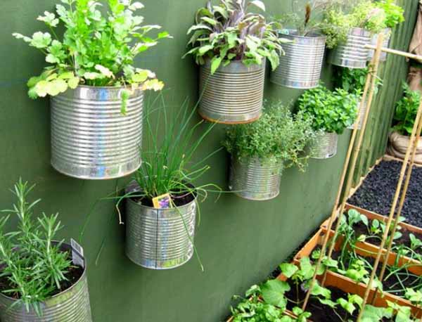 metal cans with plants for wall decorating