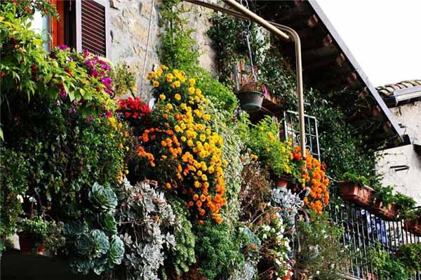 balconies with blooming plants