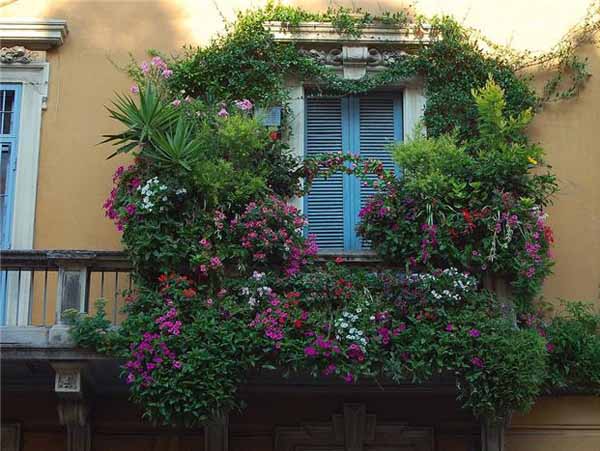 Bright Balcony Decorating with Flowers, 20 Blooming ...