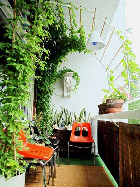 balcony design with canopy of greenery