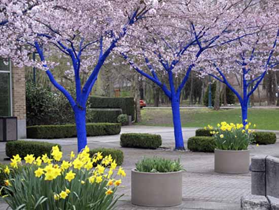 Bright Painting Ideas For Decorating Trees Creative Backyard Ideas