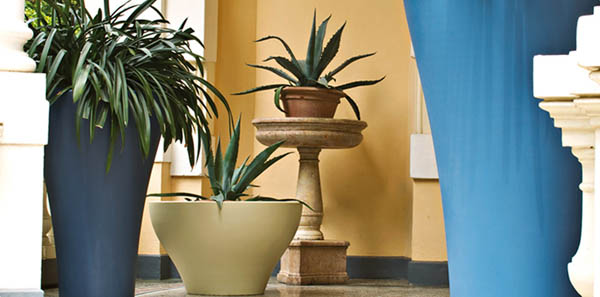 home accessories for decorating with plants