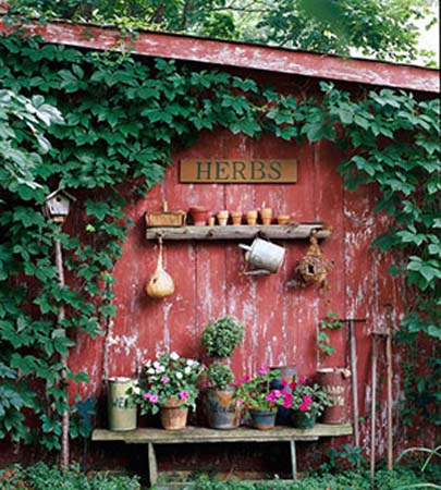 recycling old chairs and benches for blooming garden