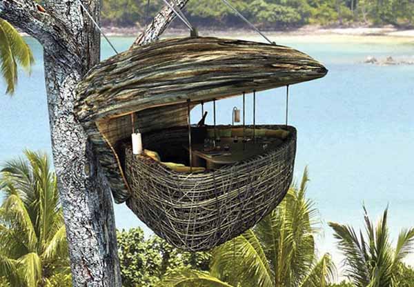 dining cabin on tree top