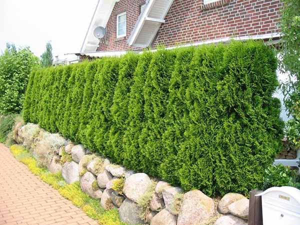 Front Yard Wall Fence Ideas silicon valley 2022