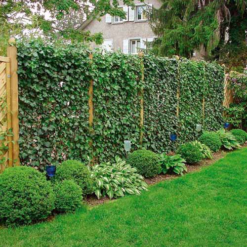 backyard design and landscaping ideas