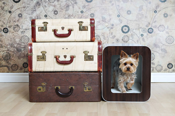 small dog house and suitcases