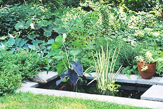 21 Garden Design Ideas, Small Ponds Turning Your Backyard Landscaping