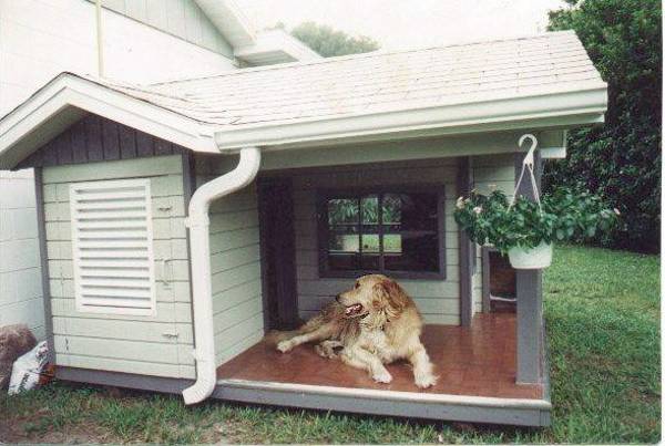 30 Dog House Decoration Ideas Bright Accents For Backyard Designs