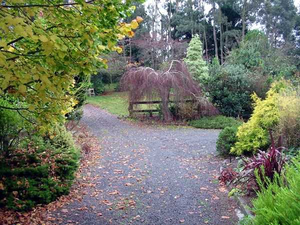 top 60 best driveway landscaping ideas - home exterior designs
