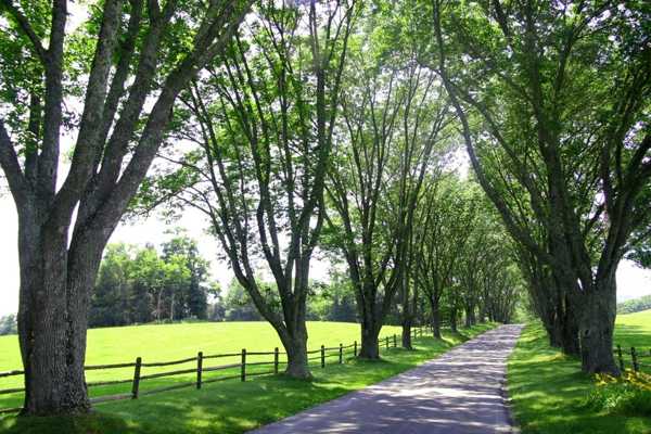 Charming Country Home Driveways, Natural Driveway 