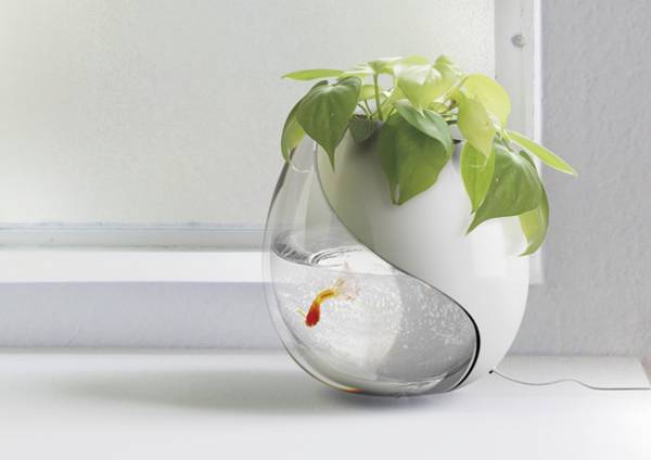 planter with indoor plants and small aquarium with goldfish