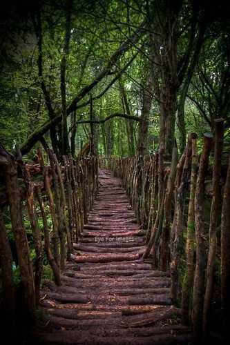 Wooden Outdoor Stairs and Landscaping Steps on Slope 