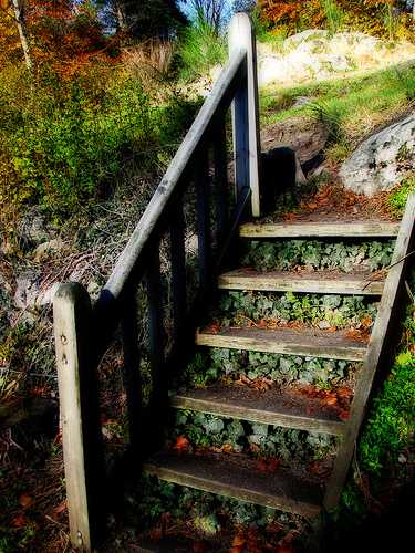 wood outdoor stairs landscaping steps 12