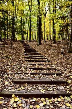 wooden outdoor stairs and landscaping steps on slope