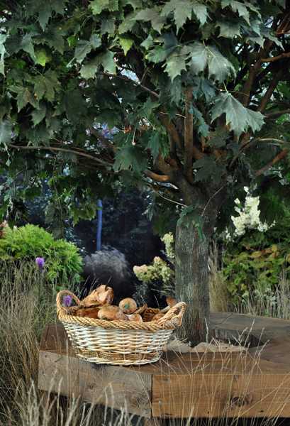 wooden bench around tree