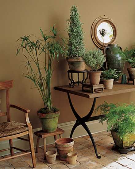15 Gorgeous Phyto Design  Ideas and Indoor Plants  for 