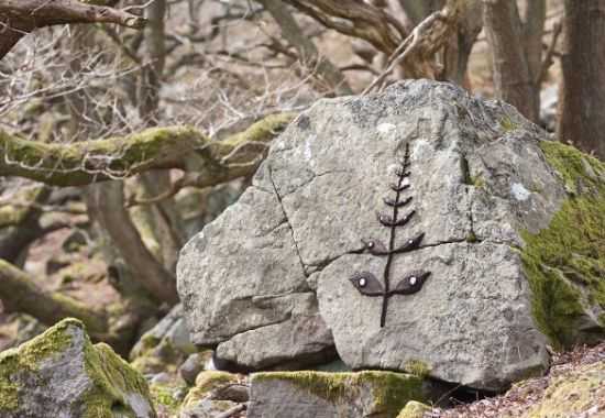 green leaves pattern on rock