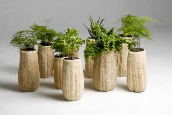 planters made with loofah sponge