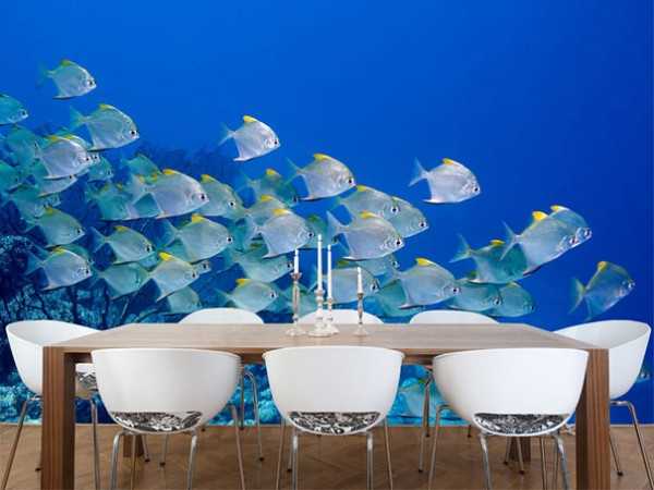 fish photograph for dining room decorating