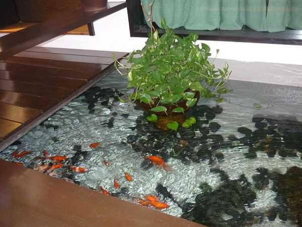 water garden in living room