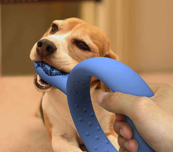 dogs toy for brushing teeth