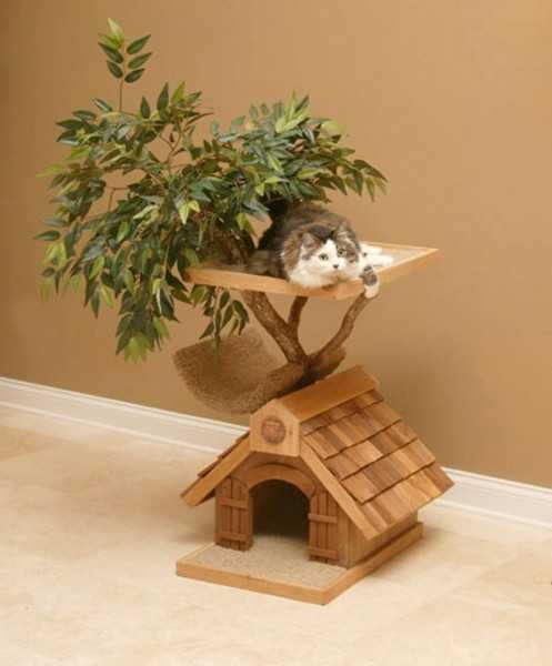 unique cat furniture with shelf