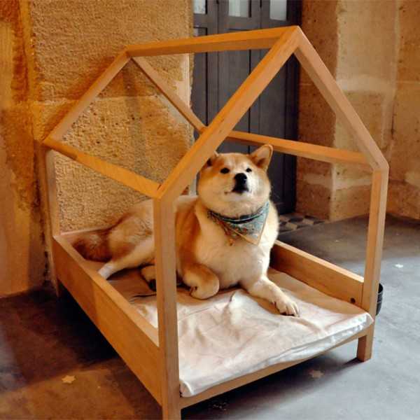 33 Modern Cat and Dog Beds, Creative Pet Furniture Design 