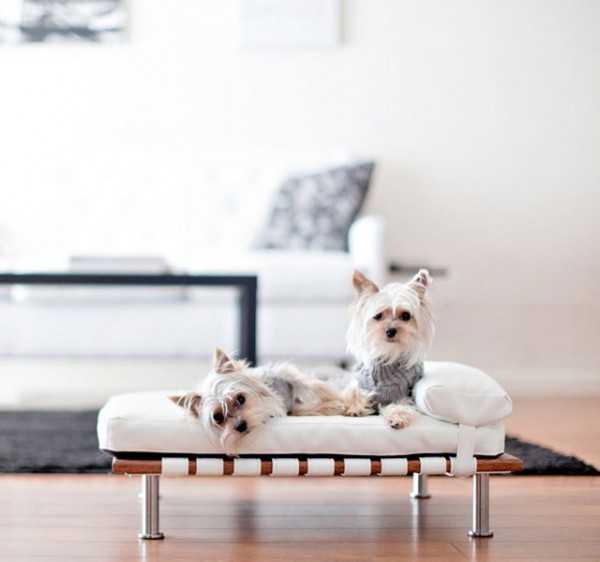 33 Modern Cat and Dog Beds Creative Pet Furniture Design Ideas