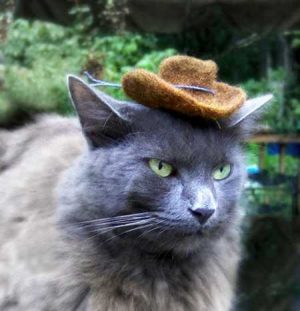 Charming Hats for Modern Cats and Dogs, Fun Design Ideas for Pets