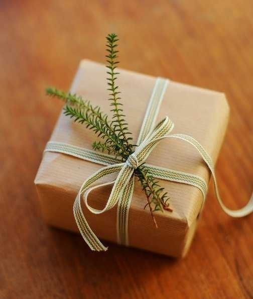 green branches and ribbon for gift box decoration