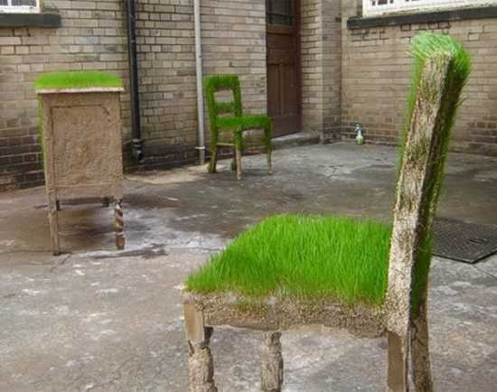 chairs with seats decorated with growing grass