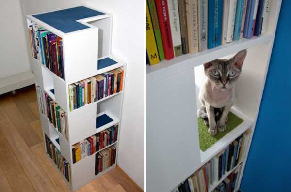 CatCase Cat Tree Design With Book Shelves, DIY Modern Cat 