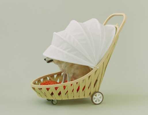 dog stroller with adjustable canopy