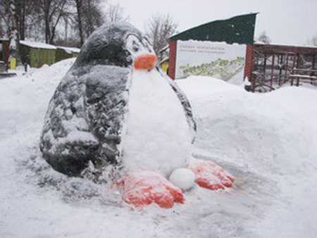 pingvin made of snow