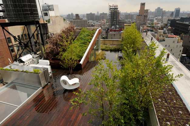 green roof and rooftop garden design with wooden patio