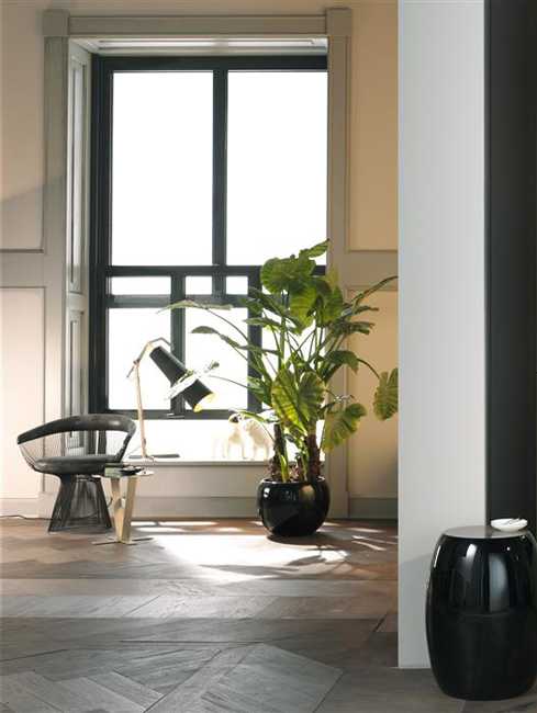 green indoor plants black ceramic planter