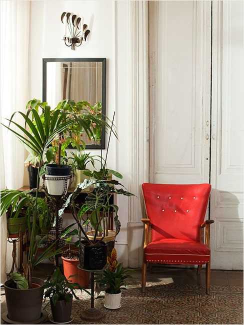 Modern Interior Decorating Ideas Incorporating Indoor Plants