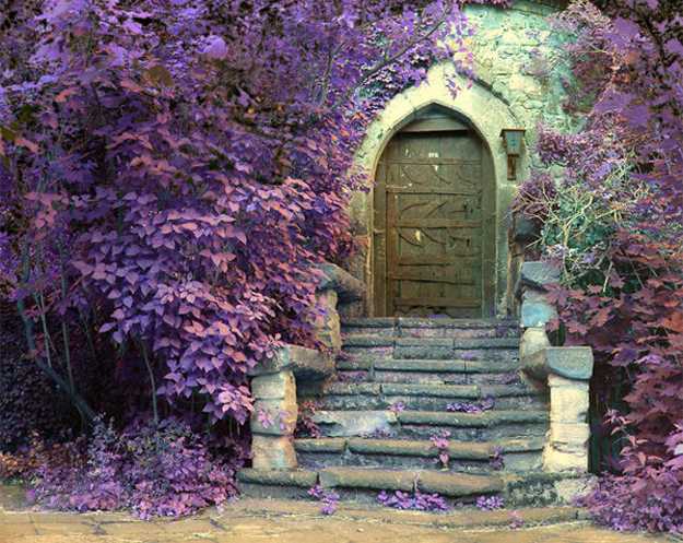 Antique exterior wood door with stone stairs and flowers