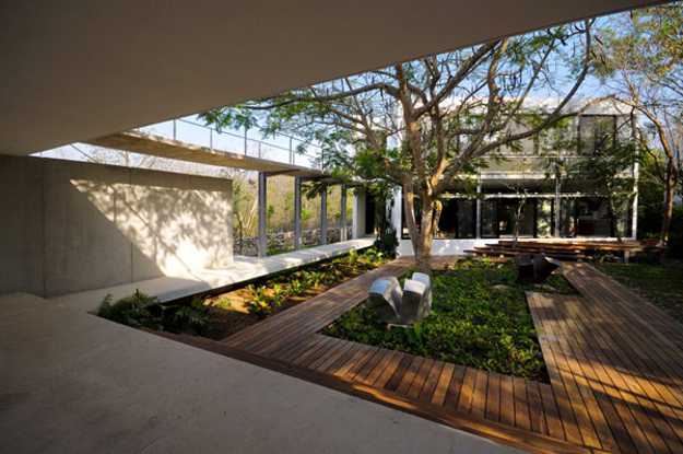 garden design around contemporary home